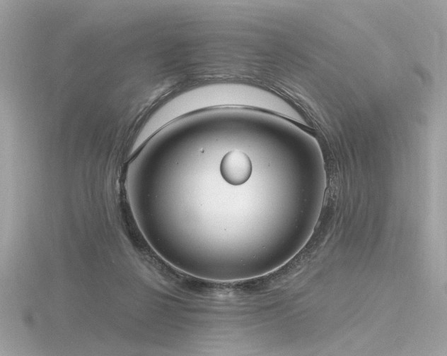 X0000116570264200912101516