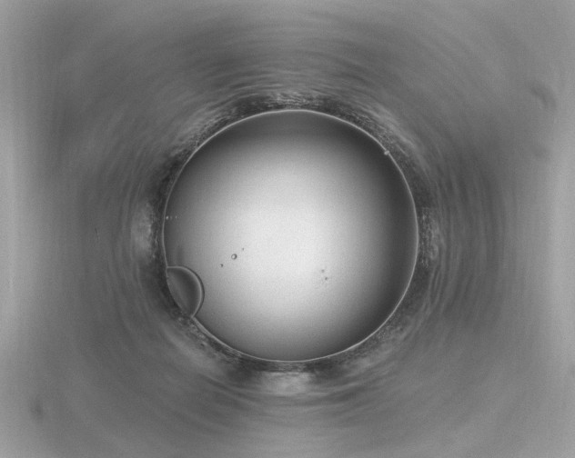 X0000116570266200912101516