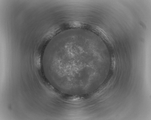 X0000116570267200912101516