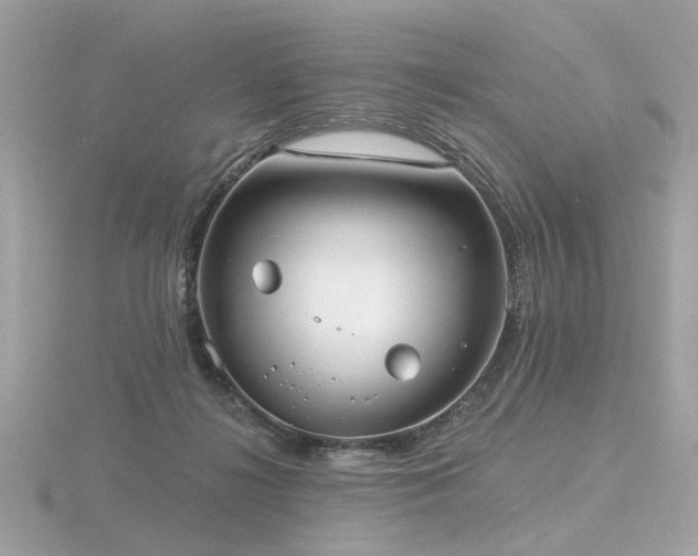 X0000116570268200912101516