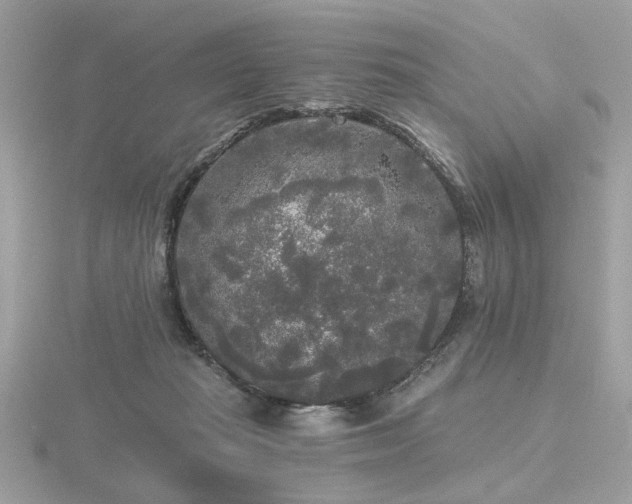 X0000116570269200912101516