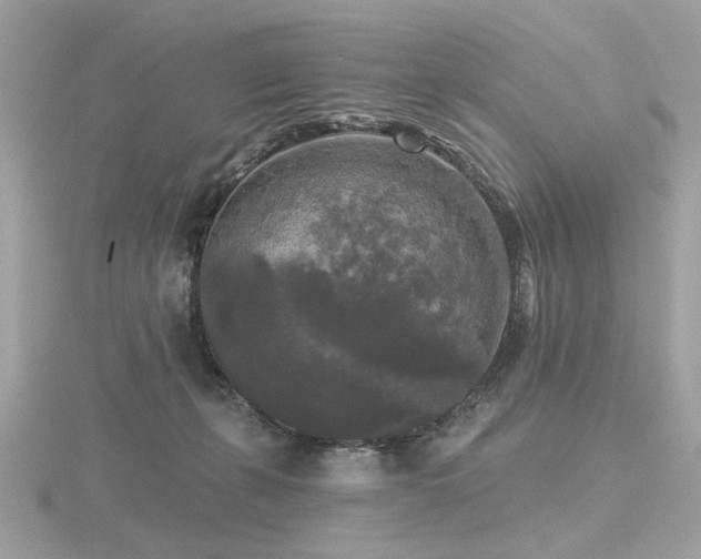 X0000116570271200912101517