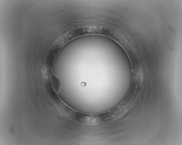 X0000116570272200912101517