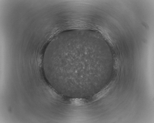 X0000116570273200912101517