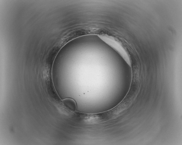 X0000116570274200912101517