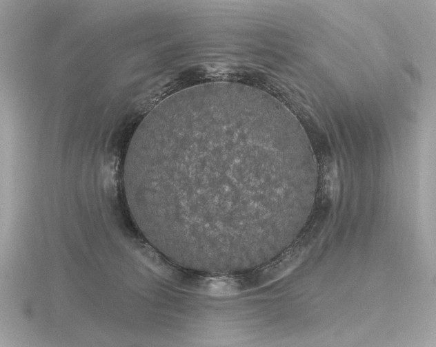 X0000116570275200912101517