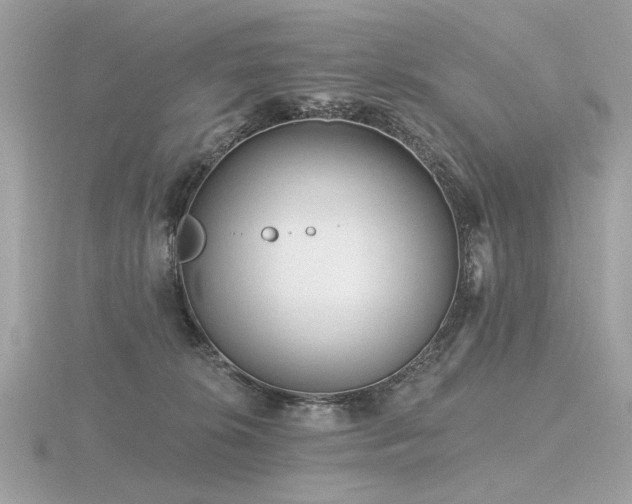 X0000116570276200912101517