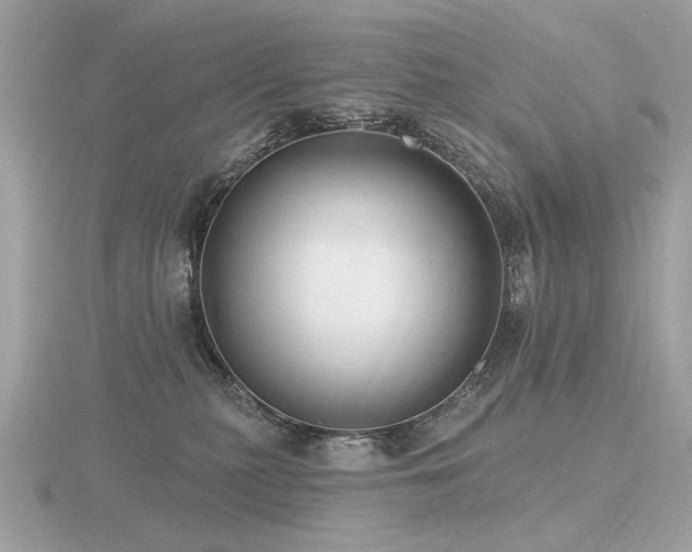 X0000116570279200912101517