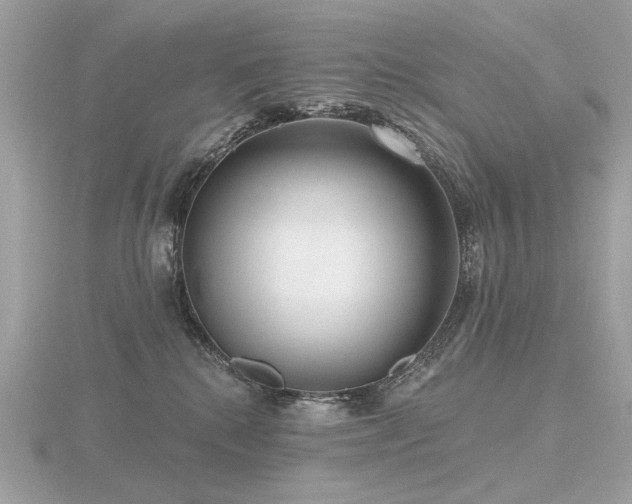 X0000116570280200912101517