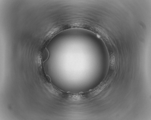 X0000116570282200912101517