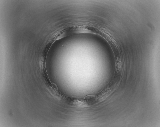 X0000116570283200912101517