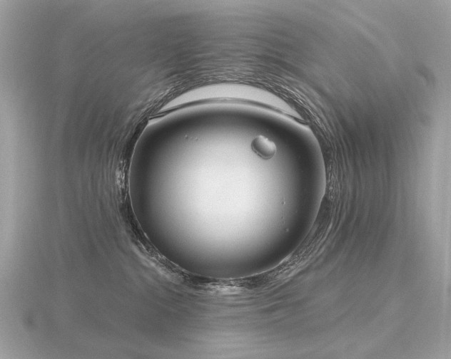 X0000116570284200912101517