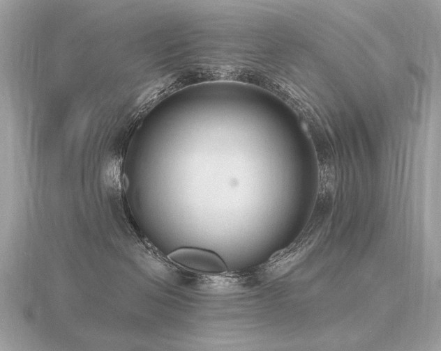 X0000116570286200912101517