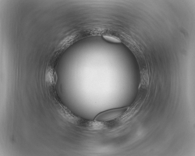 X0000116570287200912101517