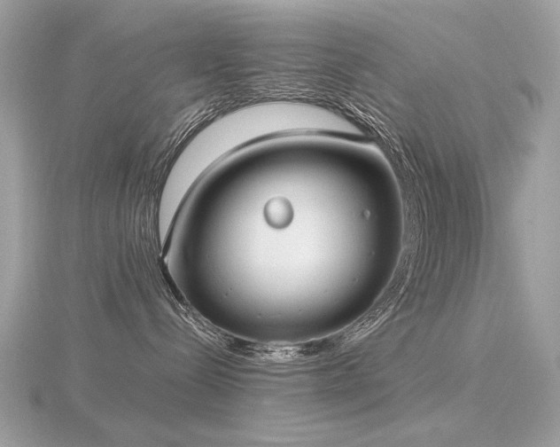 X0000116570288200912101517