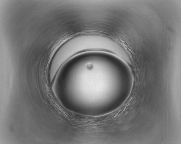 X0000116570289200912101516