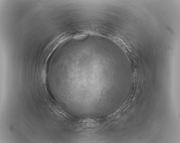 X0000116570290200912101516