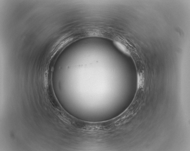 X0000116570291200912101516