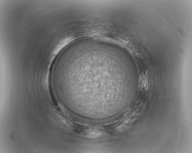 X0000116570292200912101516