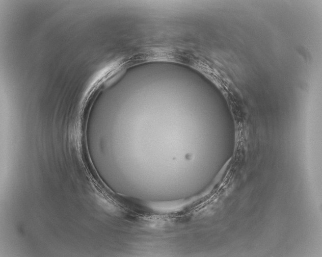 X0000116570293200912101516