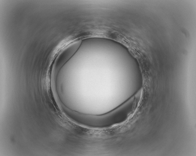 X0000116570294200912101516