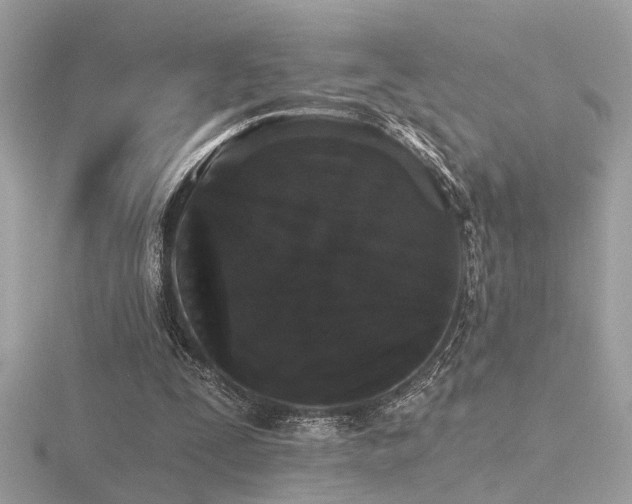 X0000116570295200912101516