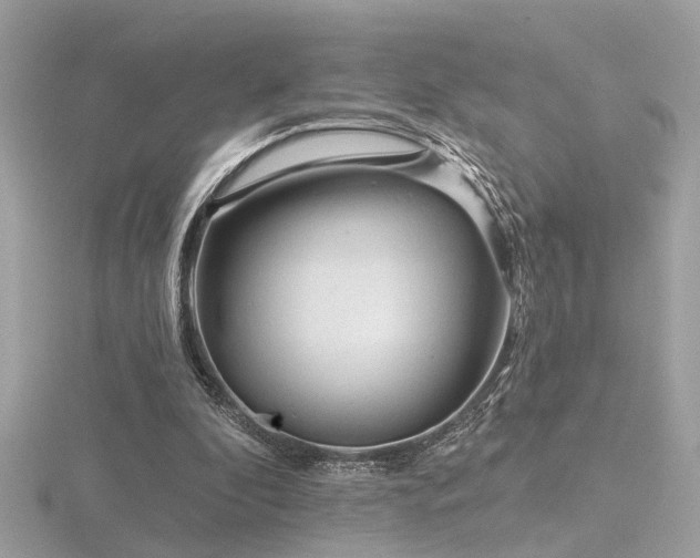 X0000116570296200912101516