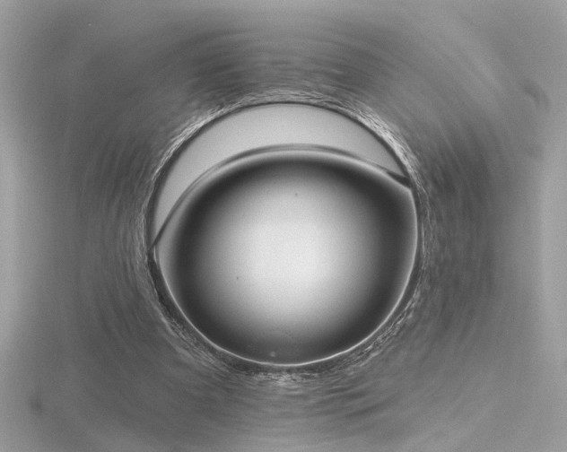 X0000116570297200912101516