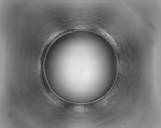 X0000116570298200912101516