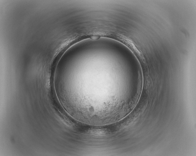 X0000116570299200912101516