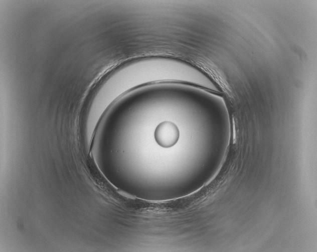 X0000116570300200912101516