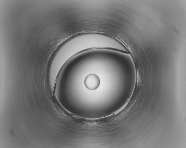 X0000116570301200912101516