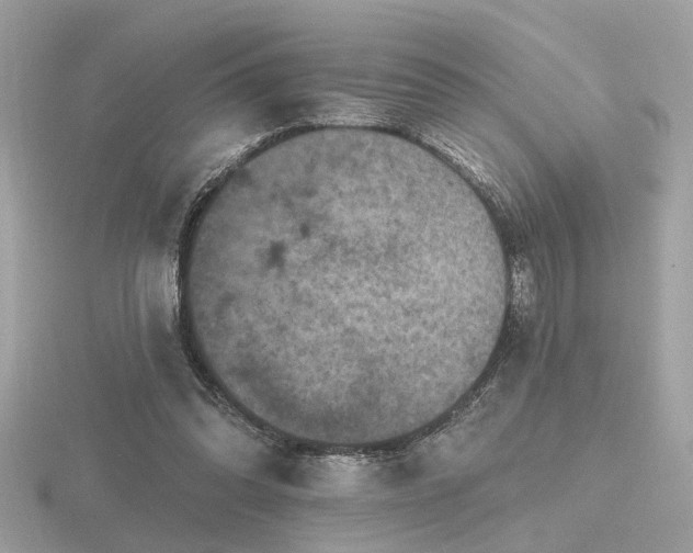 X0000116570302200912101516