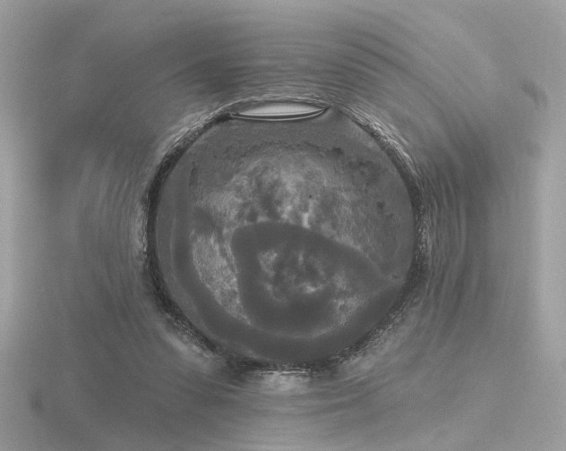 X0000116570303200912101516