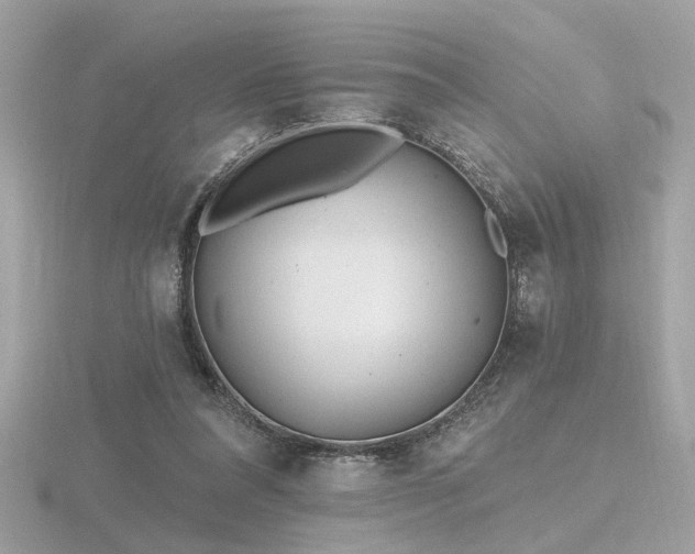 X0000116570304200912101516