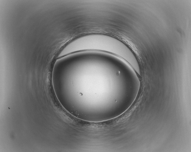 X0000116570305200912101516