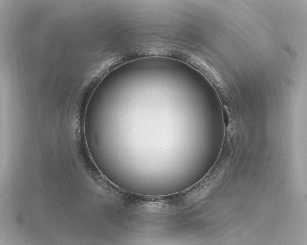 X0000116570306200912101516