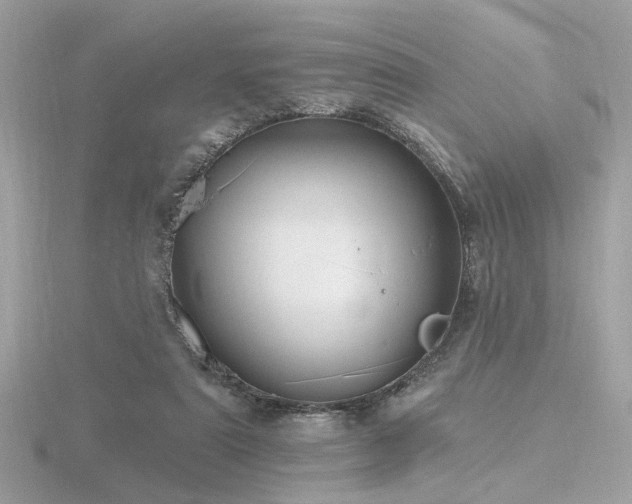 X0000116570307200912101516