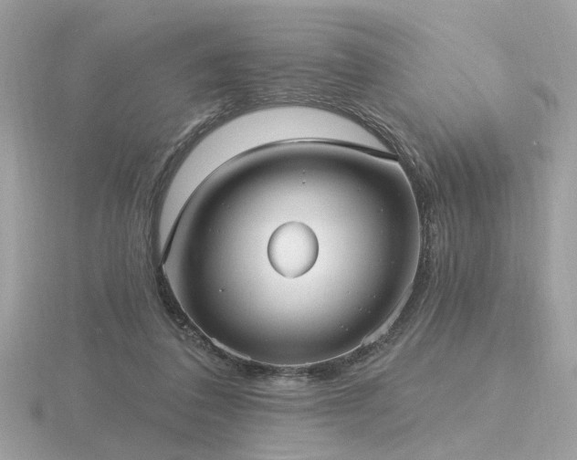 X0000116570308200912101516