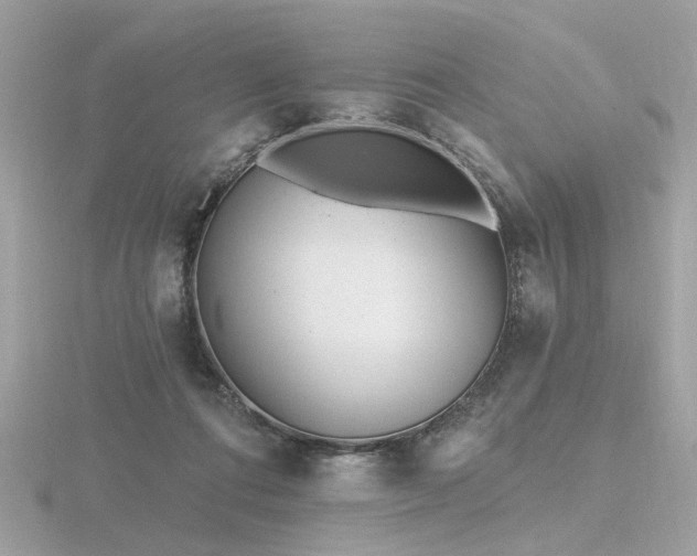 X0000116570312200912101516