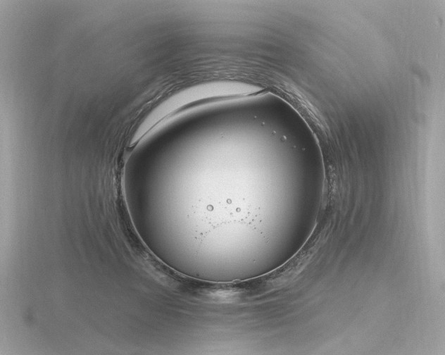 X0000116570313200912101516