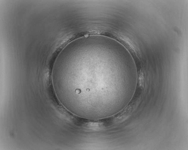 X0000116570314200912101516