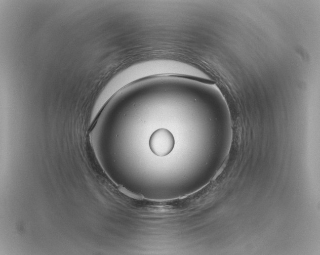 X0000116570316200912101516