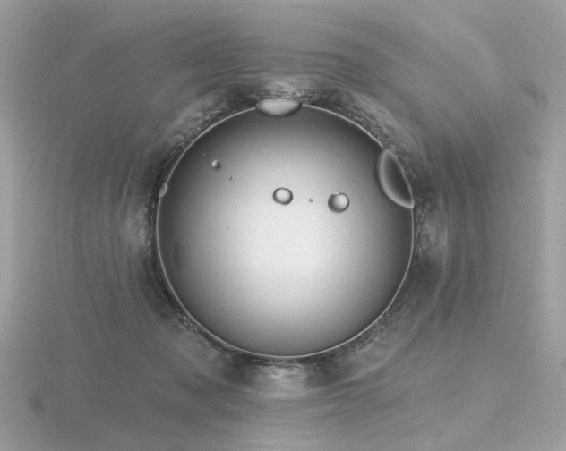 X0000116570317200912101516