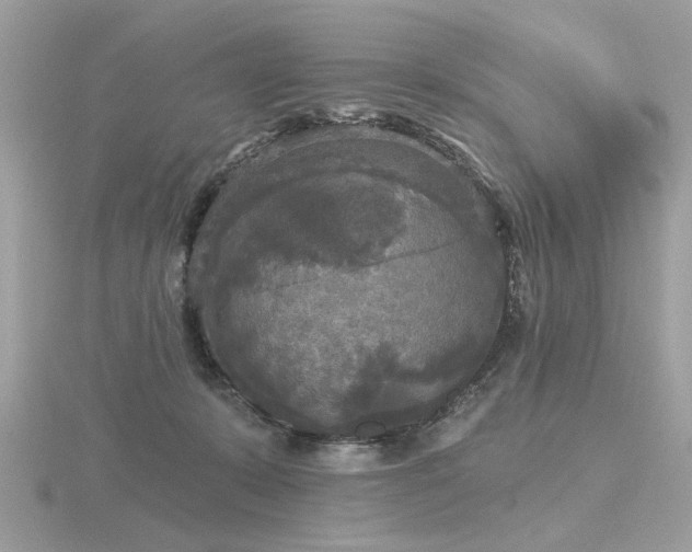 X0000116570319200912101516