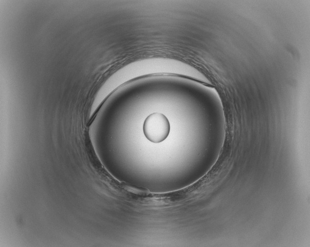 X0000116570320200912101516