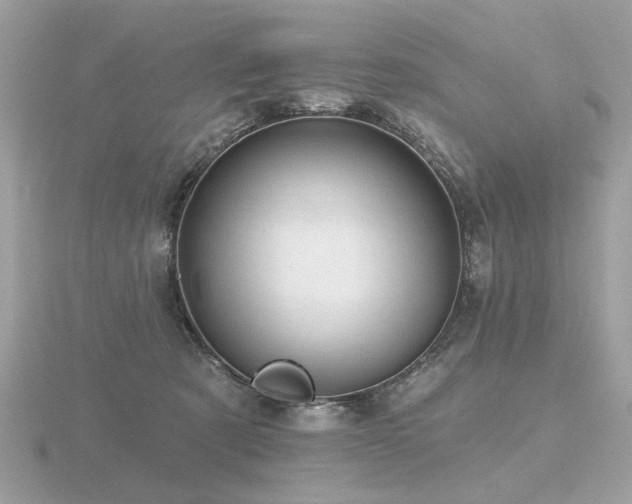 X0000116570321200912101516