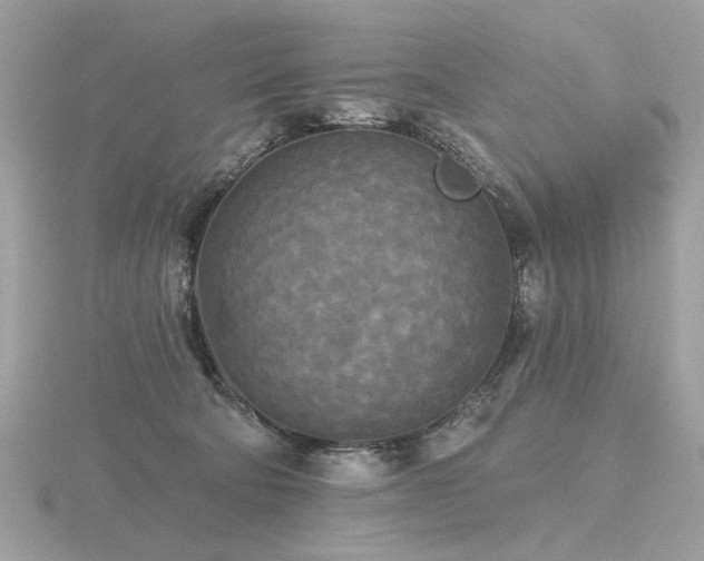 X0000116570322200912101516