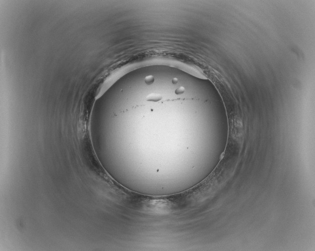 X0000116570324200912101516