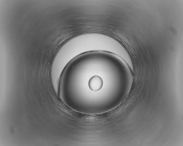 X0000116570325200912101516